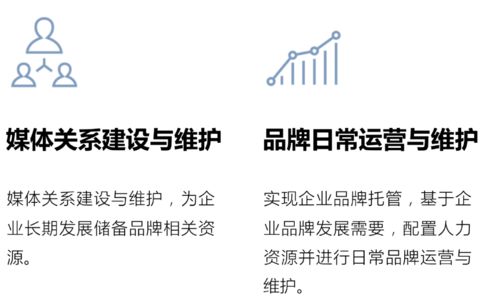 大道恒美 大品牌战略驱动企业商业价值生长